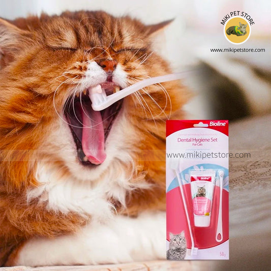 Bioline Cat Dental Care Set  Toothpaste Kit Toothpaste Toothbrush