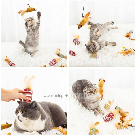 Cat Teaser Fishing Pole Toy  7 in 1 Set