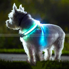 LED Flashing Dog Body Vest