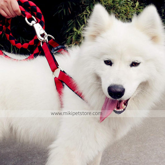 3-Piece No-Pull Dog Harness, Leash & Collar Set – Adjustable for Large & Extra-Large Dogs