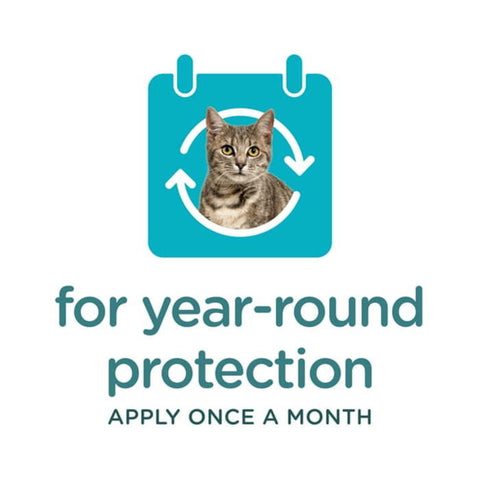 Vet Coach Fipronil Cat & Dog Spot On 0.5ml