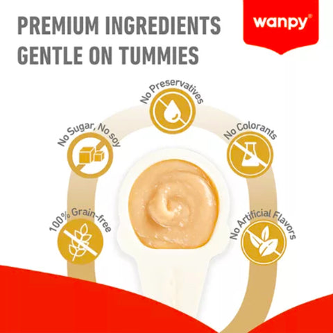 Wanpy salmon Spoon Creamy Cat Treat 16gm  1pcs