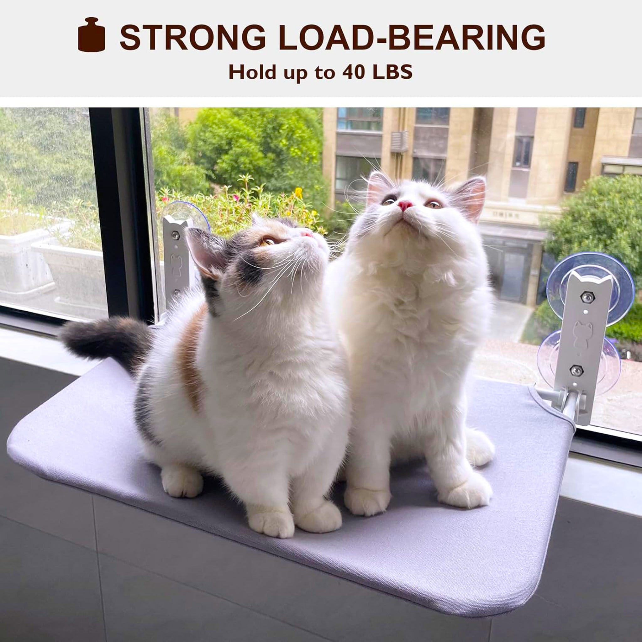 Cat Window Bed – Foldable Hammock with Strong Suction Cups