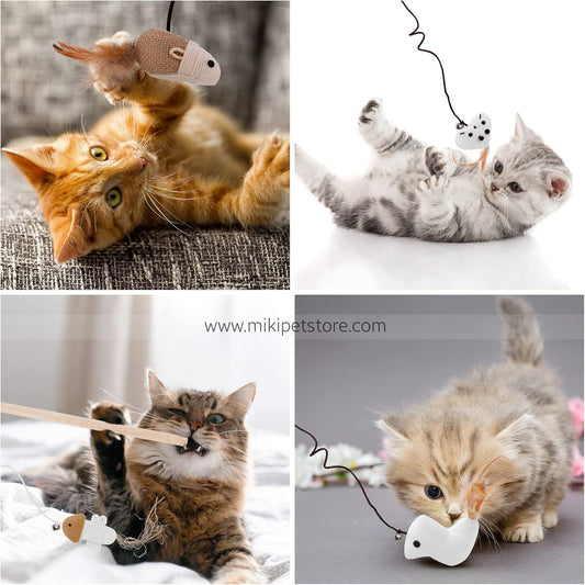 Interactive Feather & Catnip Teaser Toy with Natural Mint for Kittens and Cats