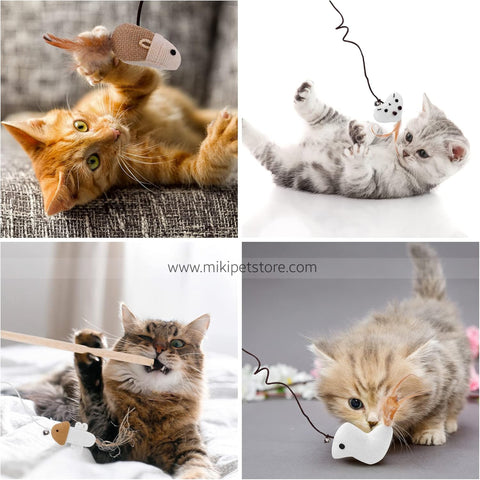 Interactive Feather and Catnip Teaser Toy with Natural Mint
