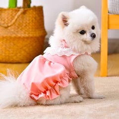 Cat Dress – Soft Elastic Princess Skirt for Summer Days For Cat & Puppies