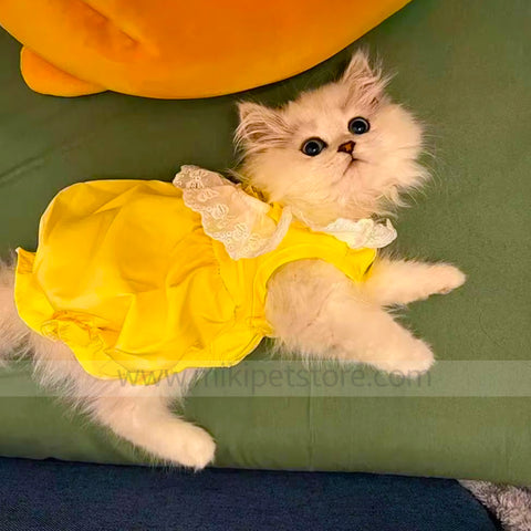 Cat Dress – Soft Elastic Princess Skirt for Summer Days For Cat & Puppies